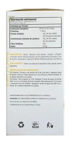Greenside Kombucha D-tox Jengibre Caja Con 20 Bolsas Sfn