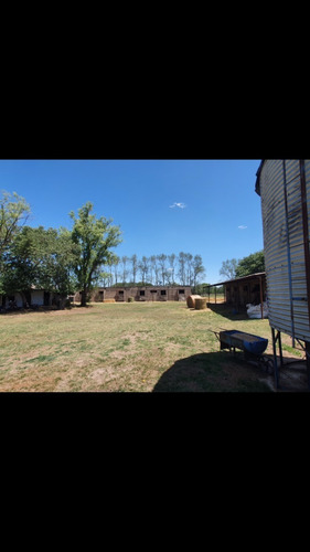 Imagen 6 de 10 de Alquiler Haras 10 Ha Establecimiento Hipico 24 Caballerizas, Silo, Galpon 150mts, Casa Encargado