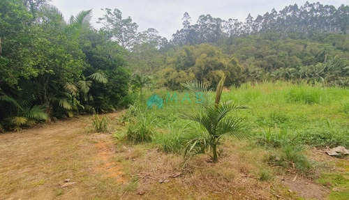 Imagem 15 de 30 de Lindo Sítio À Venda No Bairro São Luiz Em Apiúna Sc!! - Ru00003 - 69368760