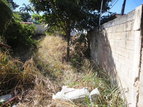 Imagen 2 de 4 de Se Alquila Terreno Zona El Viñedo