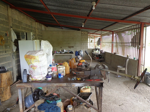 Granja En Cabudare Los Naranjillos, Via El Palaciero