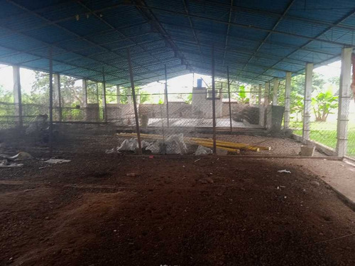 Imagen 7 de 30 de En Venta Finca Avicola Y Conejera Con Fondo De Comercio Para Embutidos