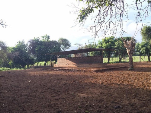 Imagen 9 de 30 de &&& Finca En Venta Aroa Yaracuy Rah 23-4755 // Invierta Seguro Con Rentahouse//