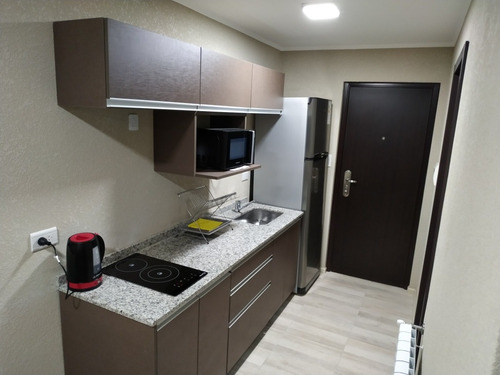 Imagen 4 de 12 de Moderno Departamento Frente Al Parque Pileta Climatizada