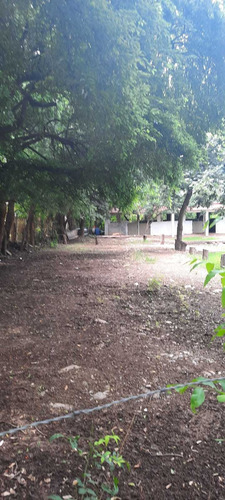 Imagen 4 de 4 de Ranchos En Renta En El Barrial, Santiago