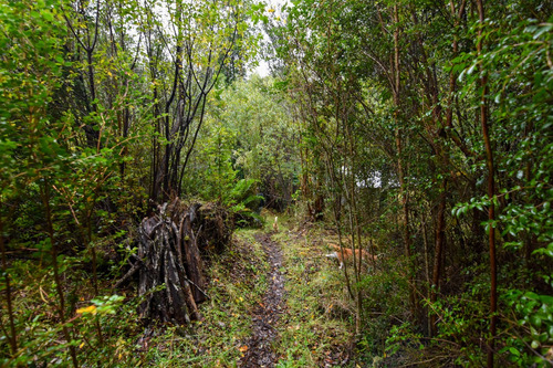 Bella Casa Con Acceso Río, 1 Hectárea, Sector Automó-chamiza
