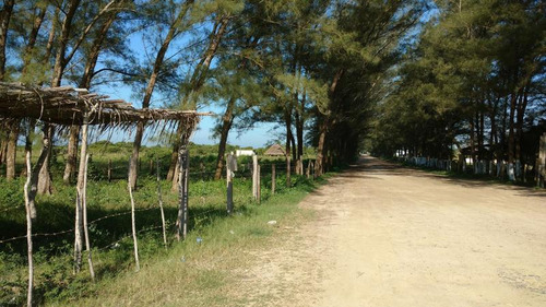 Venta Lotes 400 M² Playa Sur Tamiahua Veracruz