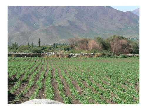 Imagen 6 de 17 de Chacra - Cachi Adentro