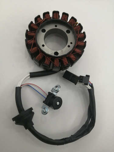 Bobina Stator Bws 125 Embobinado Bws 125 Bobina Envío Gratis