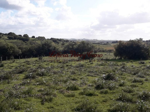 Venta Chacra Jose Ignacio 2 Has - Ref: 19207