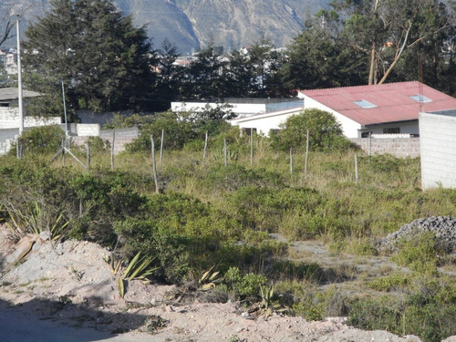 Imagen 14 de 14 de Terreno 1100 M2 En Coop. Huasipungo (sector Mitad Del Mundo) 62k Negociable!!