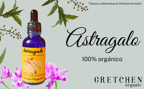 Extracto Triple De Raíz De Astragalus Ultra Concentrado
