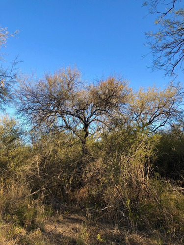 Imagen 5 de 16 de Lotes De 1000 M2 Camino A San Javier - Posesion / Las Tapias - Traslasierra