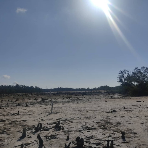 Imagen 12 de 30 de Se Vende Terreno Tucacas Att-136 04125067379 04244900499
