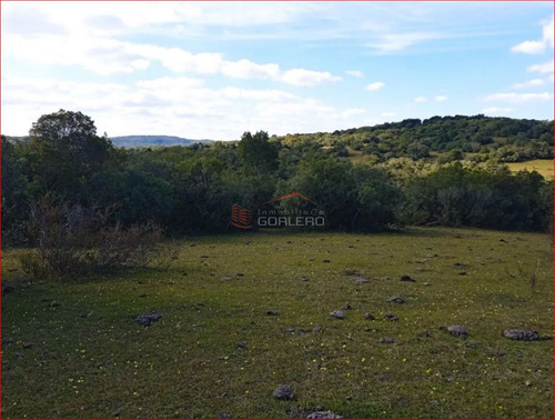 Imagen 11 de 14 de Maldonado - Venta De Campo Con Costa !! Zona De Aiguá