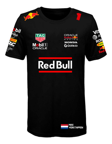 Remera Algodon Formula 1 Pilotos F1 (006)