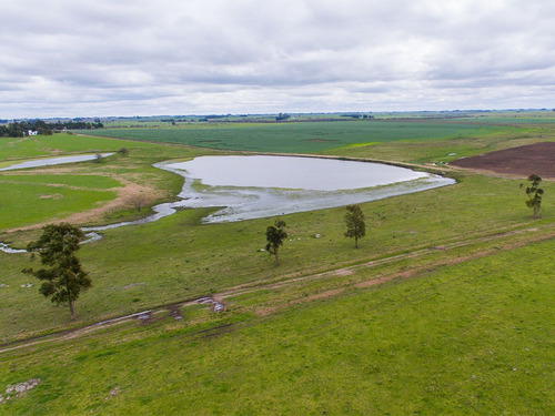 Campo En Venta En Florida Ref. 4408 (ref: Cbr-669)
