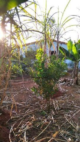 Imagem 4 de 6 de Casa Com 03 Dormitórios À Venda Em Terra Preta - Mairiporã - Ref:707 - 707