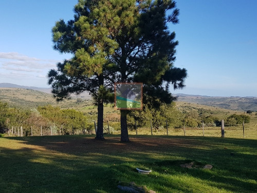 Imagen 14 de 14 de Campo En Carapé Maldonado, 267 Hás Con Casa