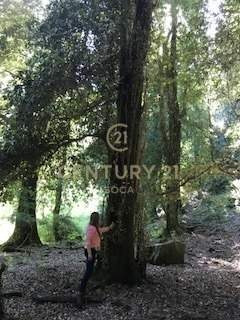 Espectacular Campo Con Aguas Termales