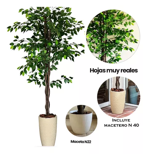 Planta Artificial Interior Grande Árbol Ficus 1.92 + Maceta