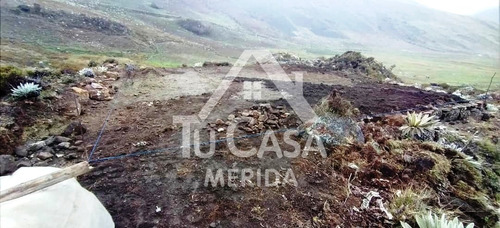 Finca Agrícola Gavidia - Mucuchies