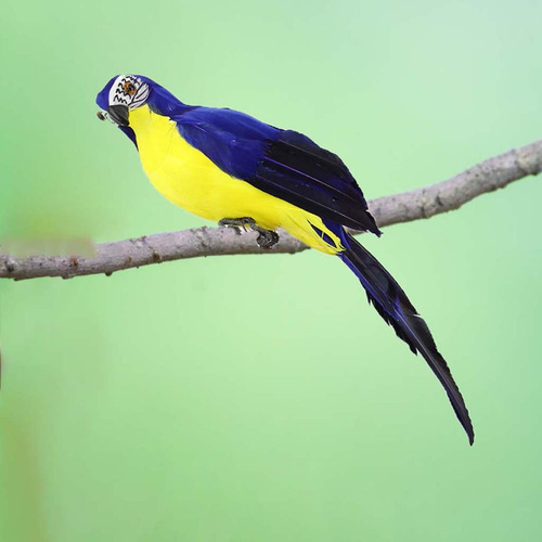 Falso Guacamayo Pájaros Artificiales Pájaro Loro Modelo