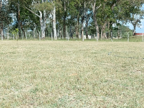 Lote 42 X 60, A 3km De Ruta 3 Altura Km48, U$s 25.000 Tomo Auto. Con Casita De 30m2, Acceso Por Calle Ripiada