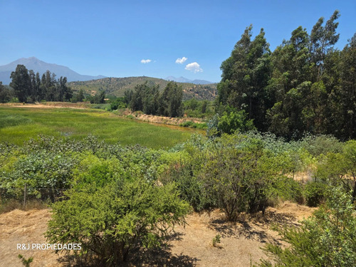 Parcela 5.000 M2 Con Casa, Limache