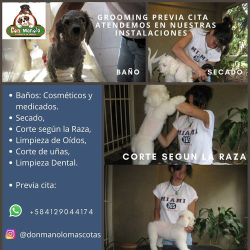 Imagen 2 de 8 de Hospedaje Canino,peluqueria Canino, Felina, Educadora Canina