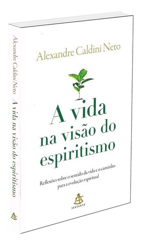 A vida na visão do espiritismo: Reflexões sobre o sentido da vida e o caminho para a evolução espiritual, de Neto, Alexandre Caldini. Editorial GMT Editores Ltda., tapa mole en português, 2017