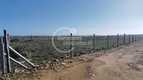 Sitios 5.000m2, Prim. Y Seg. Linea En Tregualemu, Pelluhue