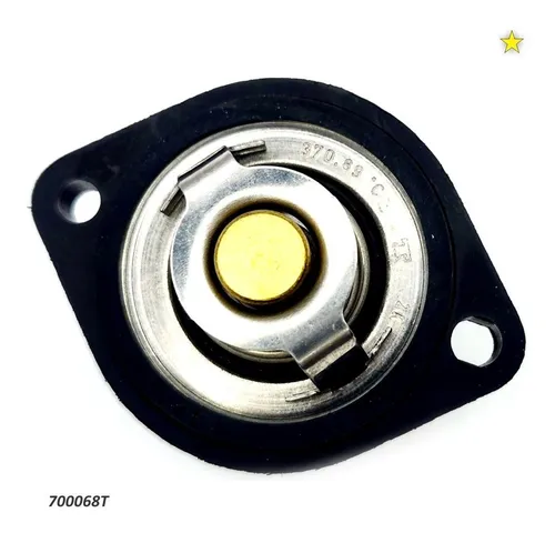 Termostato Peugeot 206 8v