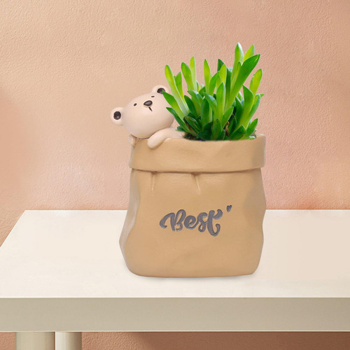 2 Macetas Para Flores, Macetas Suculentas, Decoración