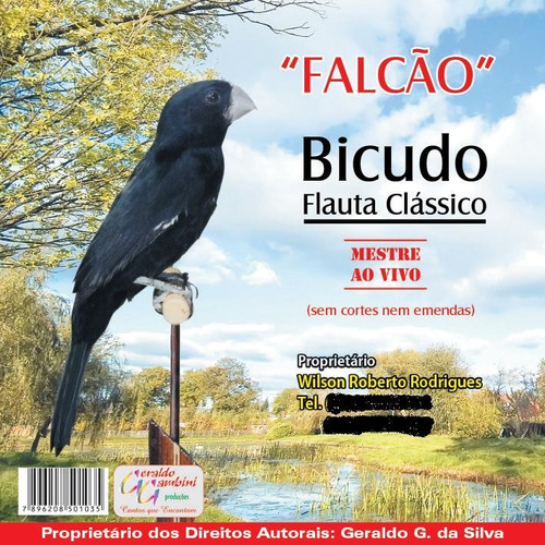 Cd Canto De Pássaros - Bicudo Falcão - Canto Flauta Clássico