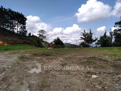 Lotes En Venta La Ceja 815-1772
