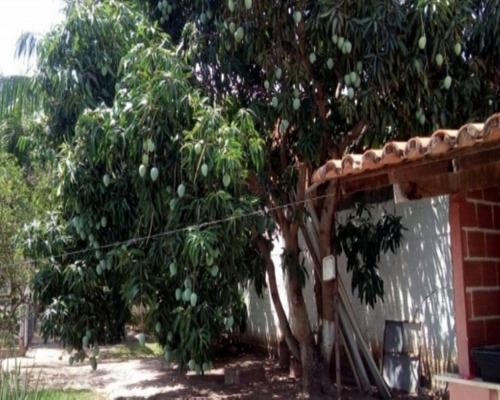Imagem 20 de 30 de Casa - Pk291 - 32013207