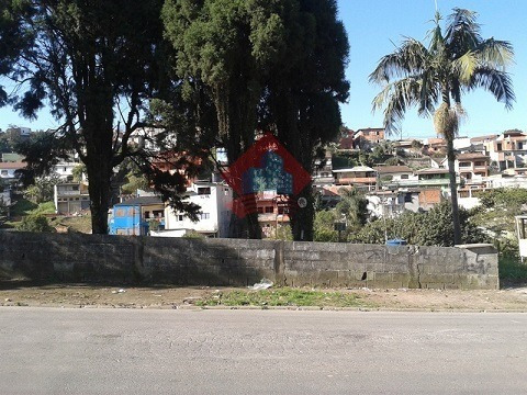 Imagem 2 de 4 de Terreno - Ref: 02363