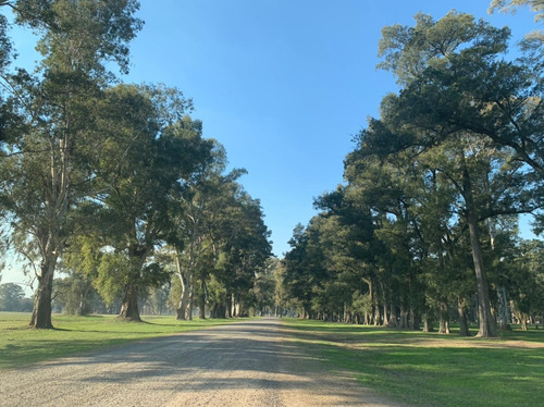 Venta Lote General Rodriguez Villa De Campo Tres Pinos Estribo