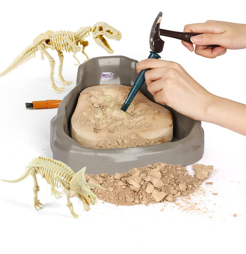 Science Can Kit De Excavacin Fsil De Dinosaurio Para Nios, C