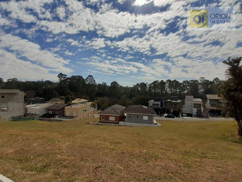 Imagem 9 de 10 de Terreno À Venda, 250 M² Por R$ 300.000 - Quintas Do Ingaí - Santana De Parnaíba/sp - Te1268