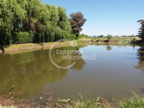Imagen 14 de 14 de Agrícola En Venta En Santa Cruz