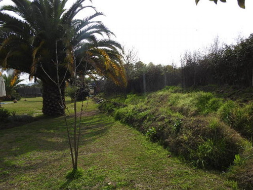 Hermosa Parcela En Buin (excelente Conectividad)