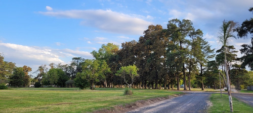 Imagen 4 de 11 de Terreno Lote En Venta En Alejandro Petion Cañuelas - Financiación - Oportunidad