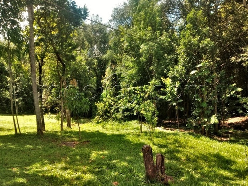 Imagem 14 de 22 de Chácara Com 27.000m2, Casa Rústica, 2 Córregos, 5 Km Da Cidade, Cercada - Pirenópolis - Go - Ch00002 - 68069363
