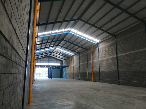 Imagen 4 de 8 de Bodega
