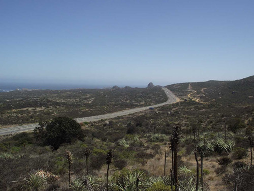 Oportundiad Venta Parcela,los Molles. (91383)