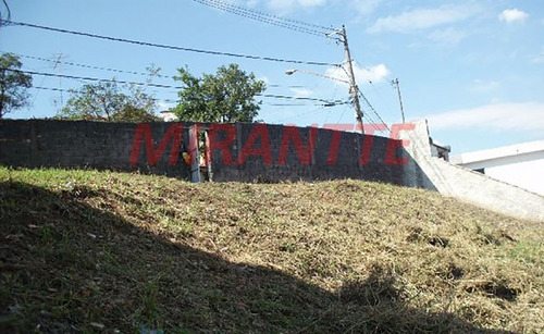 Imagem 3 de 8 de Terreno Em Tucuruvi - São Paulo, Sp - 85961