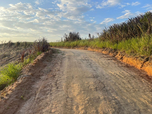 Imagem 10 de 30 de G12-terreno De 5 Mil Metros