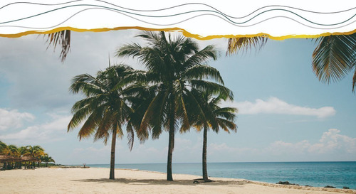 Terreno De Inversión, Riviera Maya Condominio Aruba